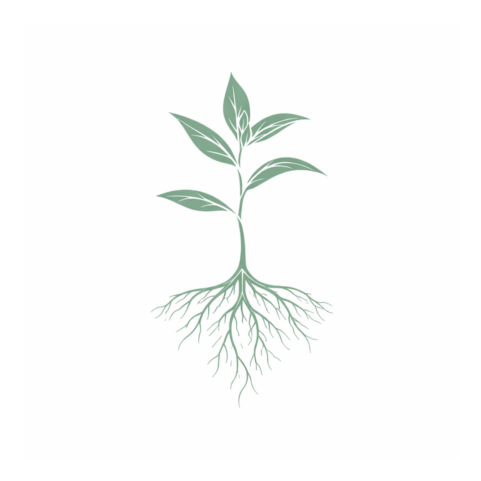 renewed & rooted root and sprout